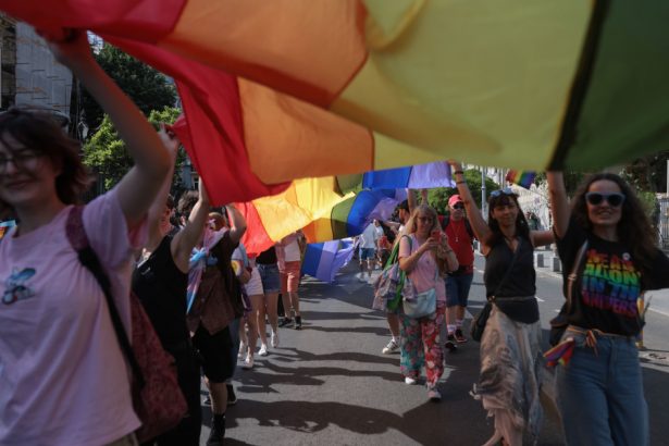 reprezentantii lgbti fac un mars de protest sambata in capitala ei cer politicienilor legalizarea parteneriatului civil 67212c2dda92a