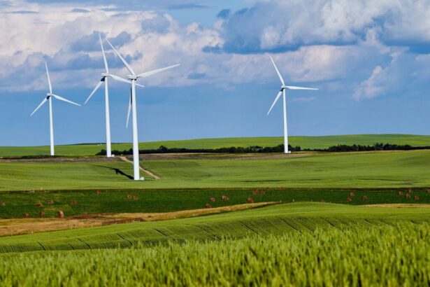 11 de parcele de teren din cogealac si fantanele detinute de eolica dobrogea srl scoase iar la licitatie intr un dosar de executare silita 6746a69fc2ba3