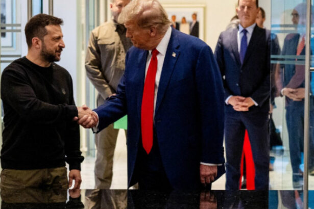 analiza ce sanse sunt ca ucraina sa renunte la teritorii jocul diplomatic al lui volodimir zelenski pentru a l multumi pe donald trump 674b4dc8a751b