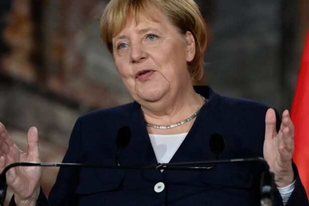 angela merkel a incercat sa incetineasca aderarea ucrainei la nato care au fost motivele fostului cancelar german 673eea8e575c0
