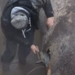 avarie raja pe bd tomis din constanta 673d9372cbbc5