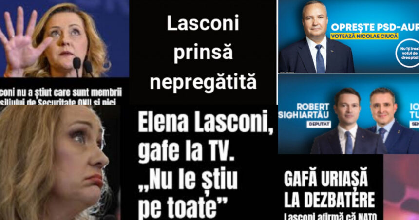 campanie a pnl impotriva elenei lasconi reclame platite de o firma a unui liberal care a dat lovitura in anul electoral 2024 673f109c1a985