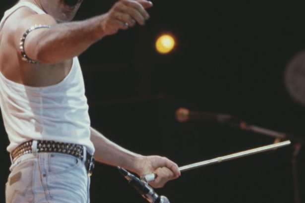 celebritatile care fac sute de milioane de dolari dupa moarte freddie mercury si elvis presley in top 67263158a5893