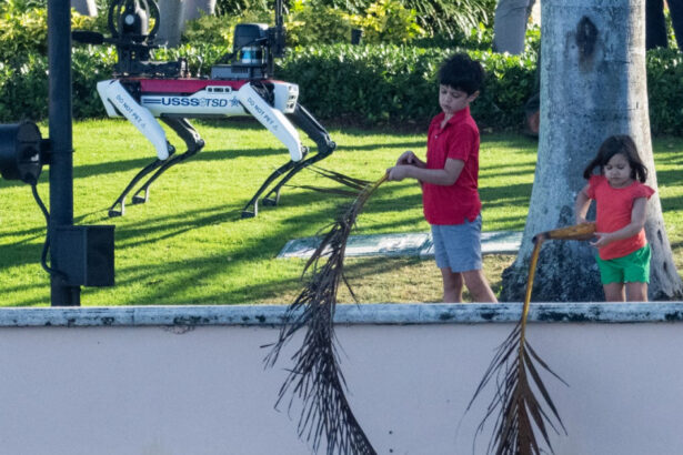 cum arata cainele robot care il pazeste pe donald trump spot este pus de secret service sa patruleze la mar a lago 6739aecea84c0