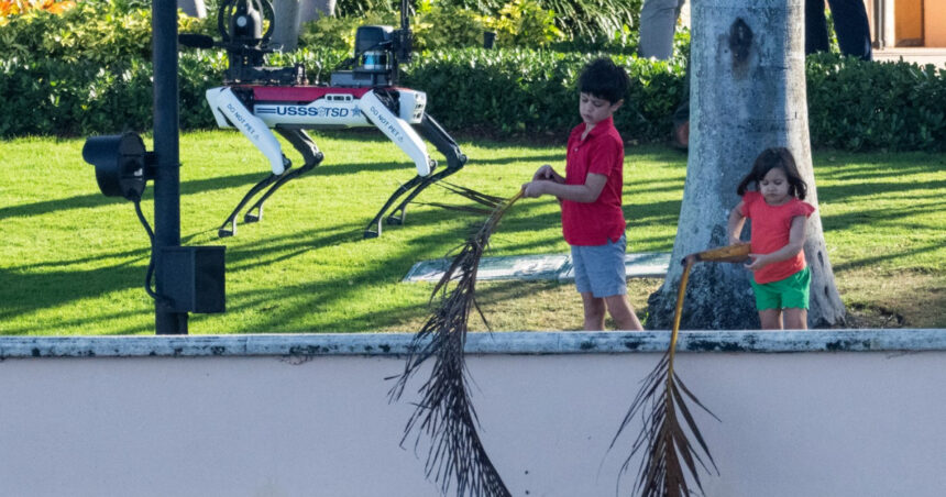 cum arata cainele robot care il pazeste pe donald trump spot este pus de secret service sa patruleze la mar a lago 6739aecea84c0