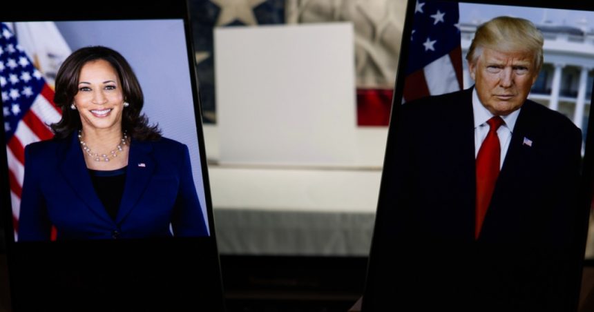 cum i a raspuns kamala harris lui donald trump dupa ce acesta a spus ca e proasta ca bata 6724abab32a4d