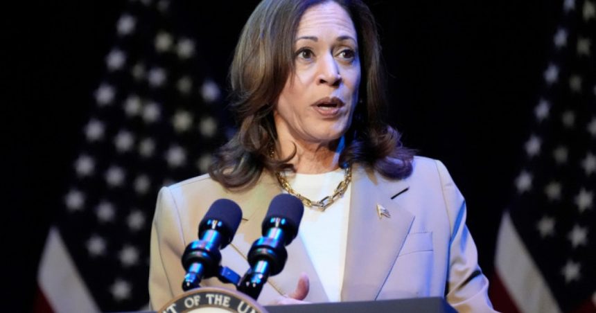 de ce a pierdut alegerile kamala harris analiza politico despre realitatea din tabara democrata 672bbf8d1f2a5