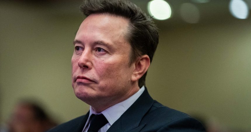 elon musk face recrutari pentru departamentul de eficienta guvernamentala se lucreaza 80 de ore pe saptamana 67364478eb523