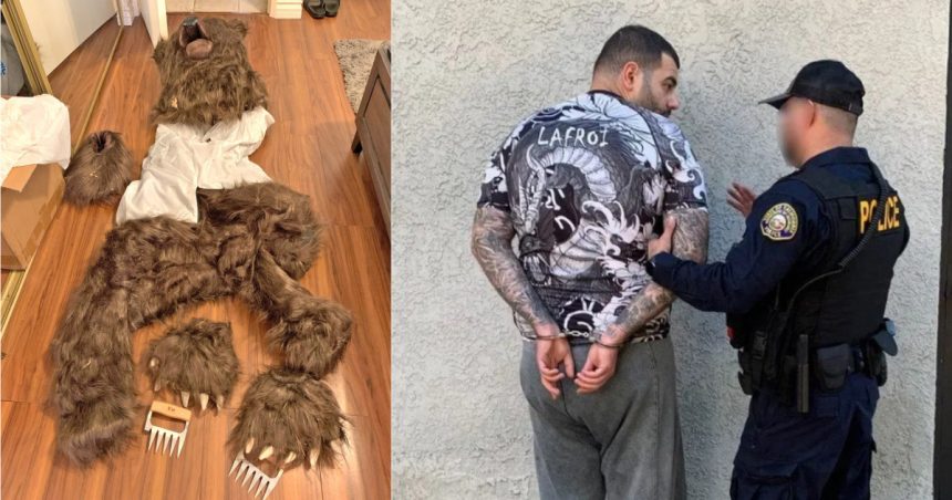 escroci costumati in ursi au distrus mai multe masini de lux ca sa incaseze banii din asigurari un biolog i a dat de gol 6736e2b363a55