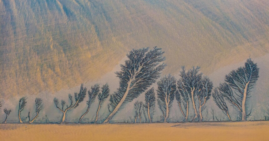 Peisajul spectaculos care amintește de o pictură. Ce se observă, de fapt, în imagini 1 galerie foto peisajul spectaculos care seamana cu o pictura ce se vede de fapt in imagini 6741da6099d64