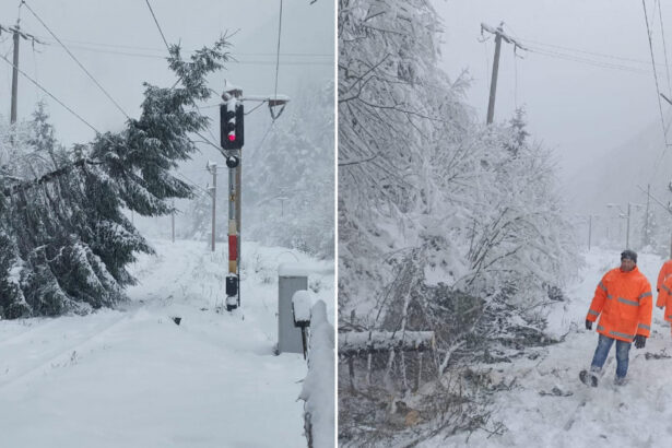 galerie foto traficul feroviar afectat de conditiile meteo extreme copaci cazuti pe sine in brasov si iasi 6740febdd047a