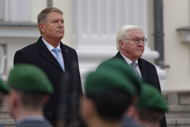 klaus iohannis primit de presedintele german romania si germania vor continua sa sprijine ucraina in fata rusiei 6738dee76aa2d