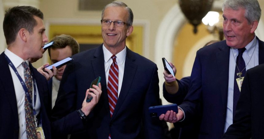 lovitura pentru elon musk favoritul sau pentru a conduce senatul sua a pierdut in fata lui john thune un politician cu experienta 6735081cd2041