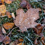 minus 102 grade celsius s au inregistrat in aceasta dimineata la miercurea ciuc ce anunta meteorologii pentru zilele urmatoare 6729ece626cb2