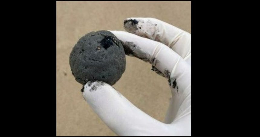 mister deslusit ce sunt de fapt bilele negre dezgustatoare care au ivadat plajele din sydney 672c7aef5e4ae