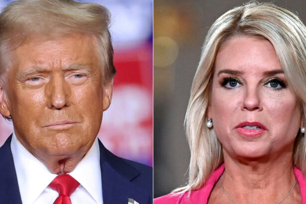 noua propunere a lui trump pentru departamentul justitiei este pam bondi fost procuror general in florida 67403cb1b0e72