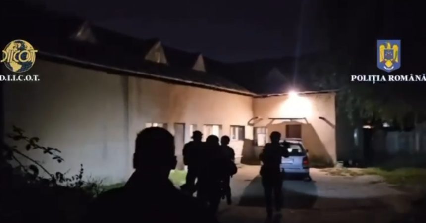 operatiunea ghost guns diicot a gasit arme bani falsi si caini de lupta 66 de persoane sunt cercetate 672a22cdee30f