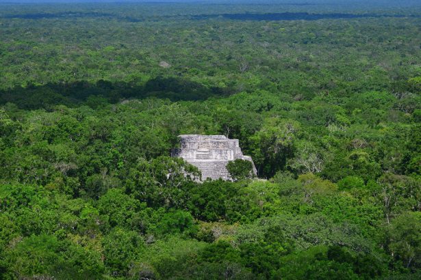 piramidele din valeriana descoperirea intamplatoare a unui vechi oras mayas ascuns in jungla mexicana 67285799bb819