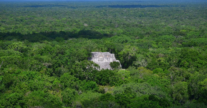 piramidele din valeriana descoperirea intamplatoare a unui vechi oras mayas ascuns in jungla mexicana 67285799bb819
