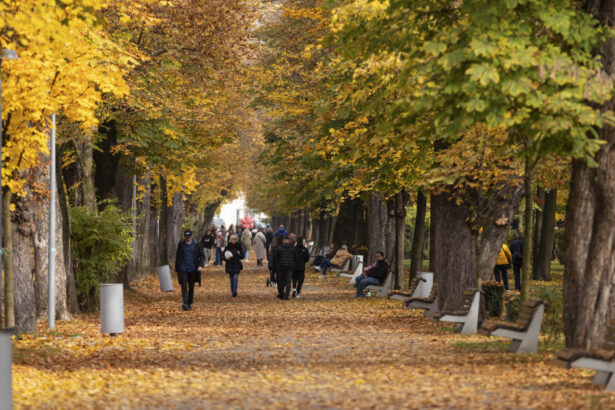 prognoza meteo urmatoarele zile vom avea vreme frumoasa cu temperaturi de 19 grade cand sunt asteptate ninsorile 673b1898af8d7