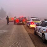 razie de amploare in harsova ciobanu si ghindaresti sapte persoane au fost retinute de politisti 6749d6045c7ea