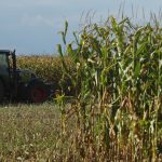 romania a fost al saptelea producator agricol din uniunea europeana anul trecut 673586b0cc03d