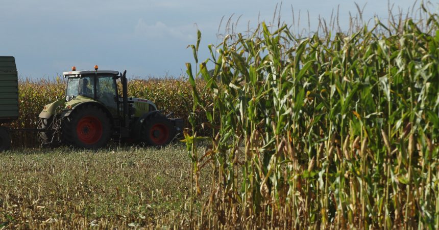 romania a fost al saptelea producator agricol din uniunea europeana anul trecut 673586b0cc03d