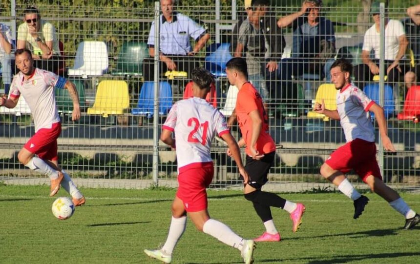soimii din cernavoda merg la fundulea cu gandul la revansa 6749c792ea202
