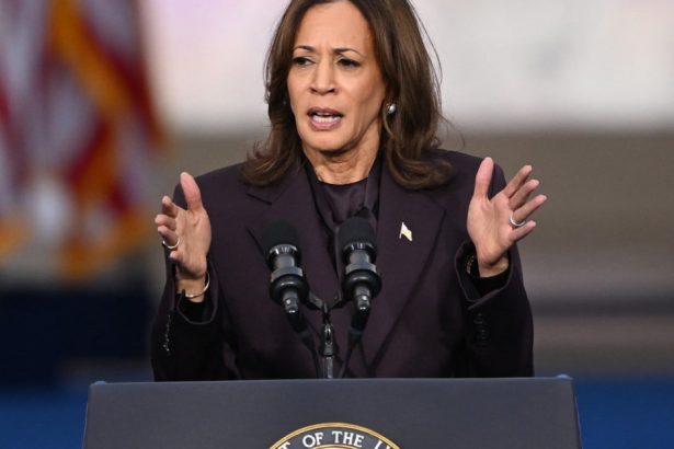 stiu de ce a pierdut kamala harris observatiile unui voluntar din echipa democratei 672f6205b911a