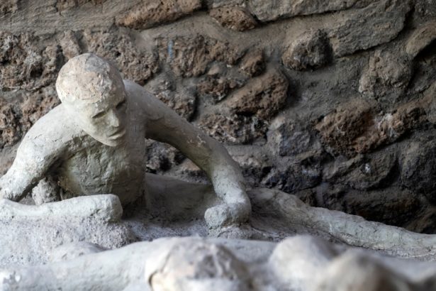 surpriza cu privire la identitatea victimelor eruptiei vezuviului de la pompei ce dezvaluie noi dovezi adn 672fa1477d3c7