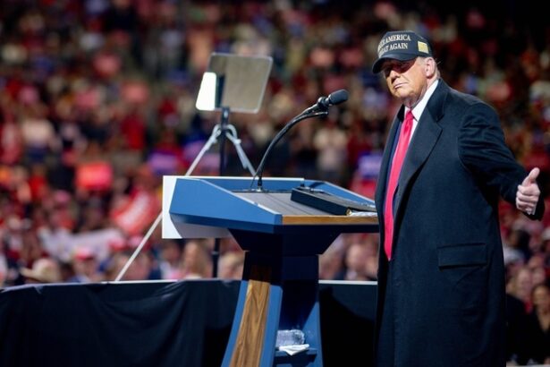 taxele impuse de trump ar putea scumpi alimentele si bauturile in sua de la carne de vita si porc la avocado si capsuni restaurantele ar trebui sa si reconfigureze meniurile reduc 67477d627c34b