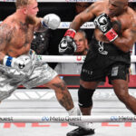 trebuie sa l oprim pe prostul asta reactiile campionilor mondiali de box dupa meciul dintre mike tyson si jake paul 673898c00d6fc