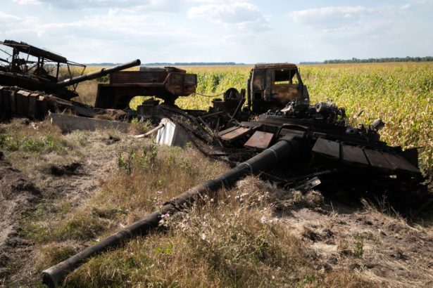 ucrainenii sustin ca au reusit sa ucida pana acum 8 000 de rusi echivalentul a opt batalioane in regiunea kursk 672519f9226d1