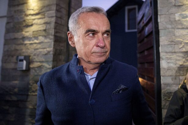 vedete care au recunoscut ca l au votat pe calin georgescu am vrut sa i fac piesa imi place si elena lasconi 6746ea5eaa520