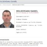 victima unui omor a fost gasita dupa un an la constanta era data disparuta vezi cine e criminalul 674a353ddd4cf