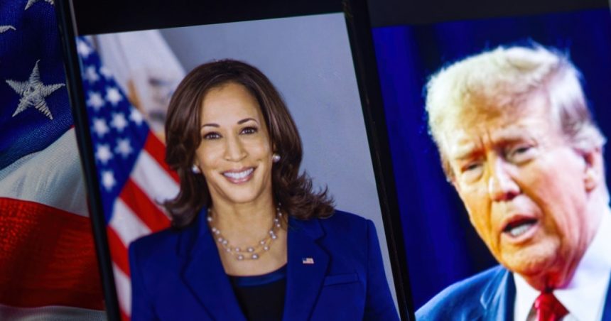 video exclusiv alegeri sua 2024 trump sau harris ce implicatii are scrutinul pentru romania corespondenta digi 24 de la washington 6729b6fb01049