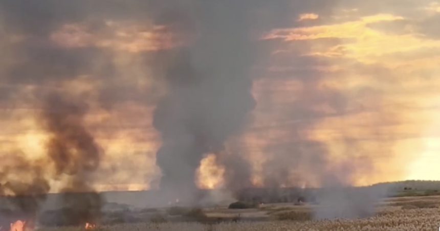 Incendiu masiv în Delta Neajlovului din Giurgiu 1 video incendiu urias in delta neajlovului din giurgiu 6727906fe5184