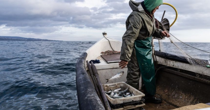 video premiera in romania luciul apei marii negre a fost scos la licitatie pentru ferme piscicole cat costa sa inchiriezi un metru patrat 672e603363ad8