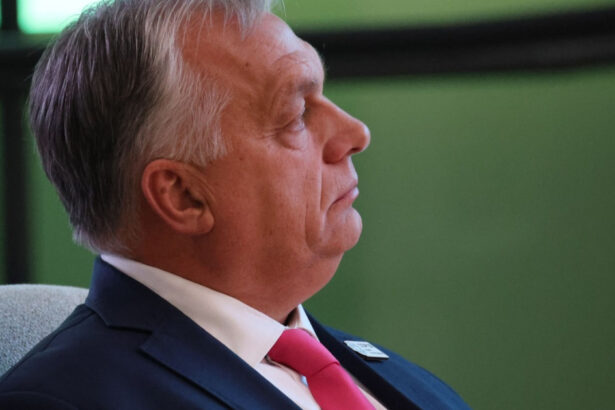 viktor orban a ramas fara bani guvernul ungariei planuieste sa taie din bugetul pentru aparare 6738a347a0b62