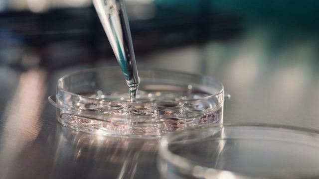 a venit pe lume primul bebelus conceput printr o noua tehnologie de fertilitate mai putin invaziva 67655efa83962