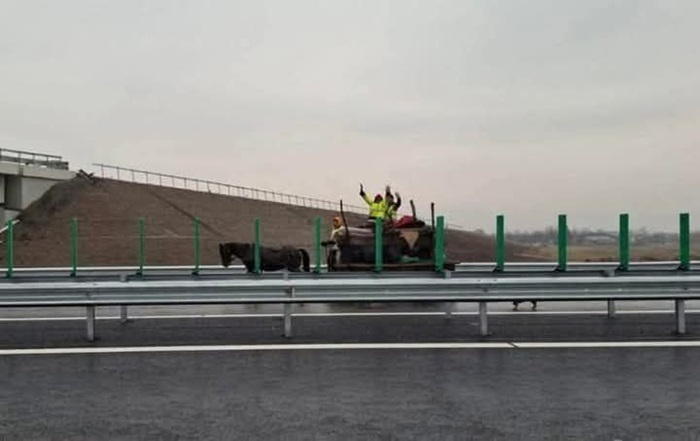 aparitie inedita pe a2 caruta plina cu petrecareti surprinsa pe sensul spre constanta 676ff5b586648