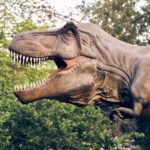 care este ruda lui t rex care mai traieste si astazi s a ascuns la vedere timp de foarte multi ani 67501dc58aa62