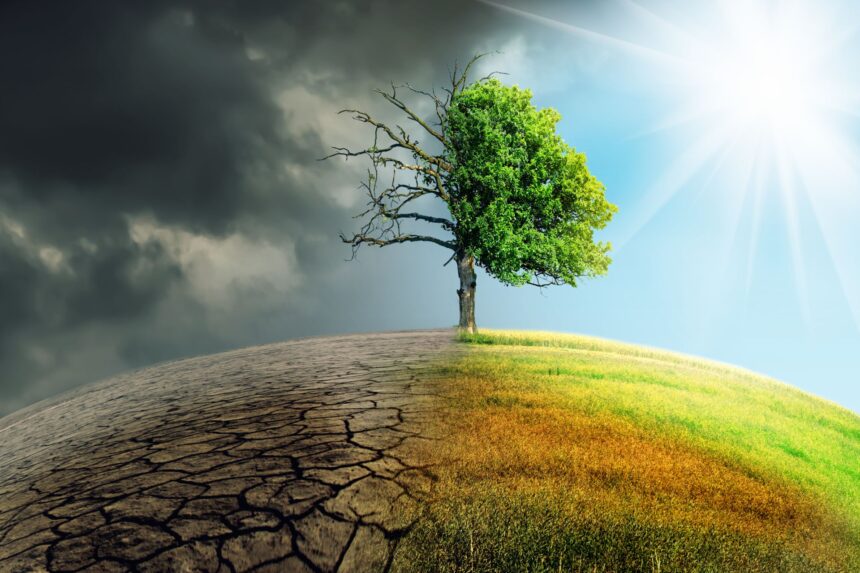 cat ne va costa sa rezolvam problema schimbarilor climatice daca nu luam masuri acum 675315347442c