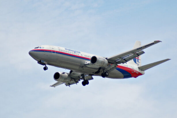 cel mai mare mister din istoria aviatiei autoritatile din malaezia reiau cautarile zborului mh370 disparut acum mai bine de 10 ani 67654fec7b4de