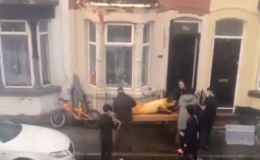 craciun romanesc pe strazile din liverpool o familie a fost filmata in timp ce parlea porcul in fata casei 676e56c33a300