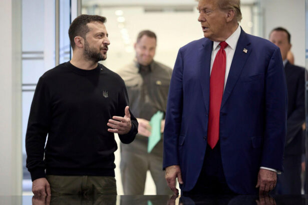 cum se straduiesc ucrainenii sa i intre in gratii lui trump favoarea pe care i o fac presedintelui ales al sua 675ef739168a3