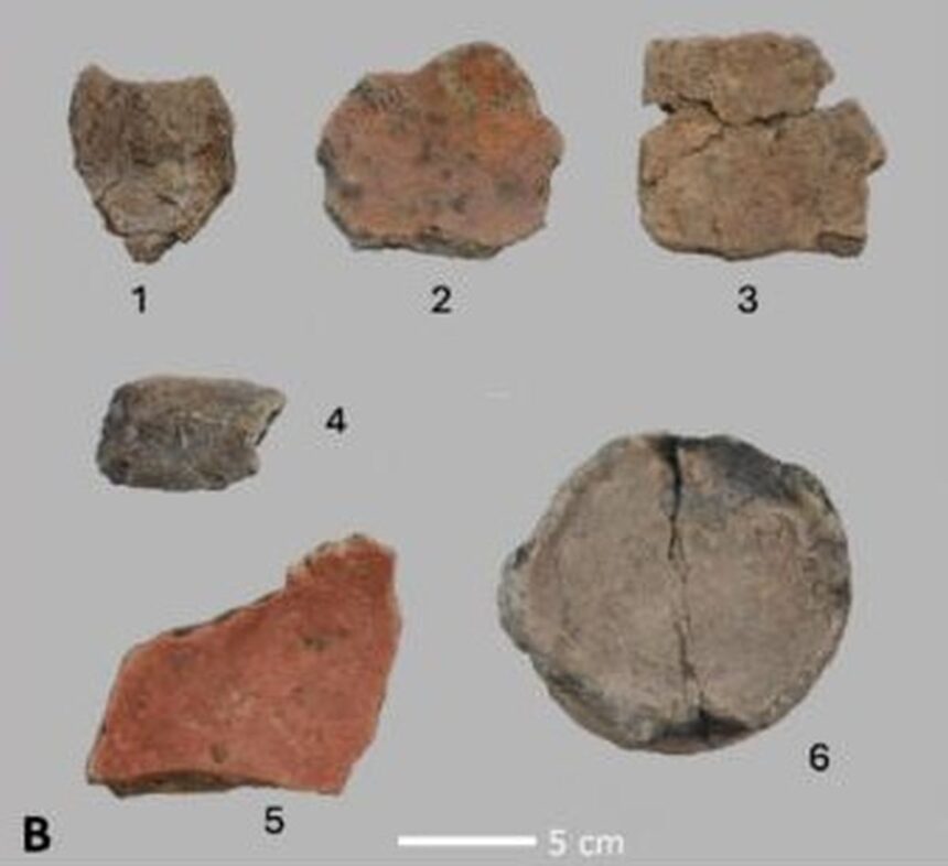 dovezi de 10 000 de ani pentru cea mai veche bautura alcoolica din istoria omenirii 675ef21cbe5f5