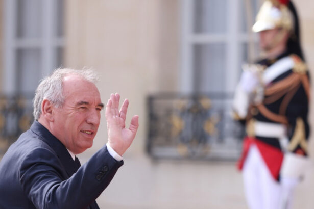 emmanuel macron l a numit premier pe francois bayrou un vechi politician de centru 675c372a9f786