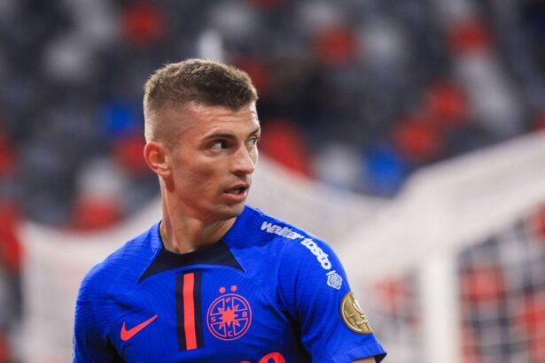 florin tanase a dezvaluit motivul pentru care denis alibec a refuzat sa revina la fcsb 67703de360dd2