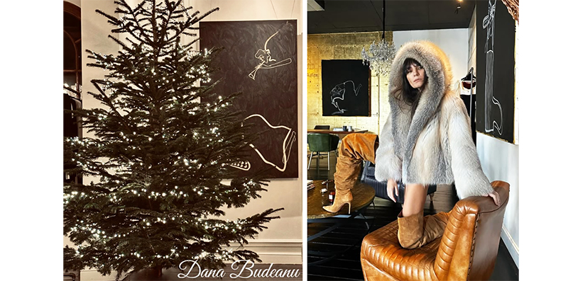 foto cum arata craciunul in casa danei budeanu ce le a transmis creatoarea fanilor 676d95711b4db